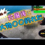 【沖縄釣り】台風後に規格外の大物〇〇が釣れた！沖縄釣武士撃沈釣行記2023　夏フカセ・カーエー編010