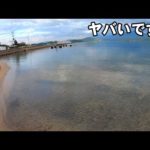 巨大アジが海底に潜む沈静な漁港はとんでもない場所だった！