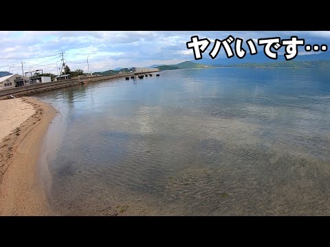 巨大アジが海底に潜む沈静な漁港はとんでもない場所だった！