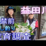 【益田川　解禁前　試し釣り　成育調査】　鮎釣り