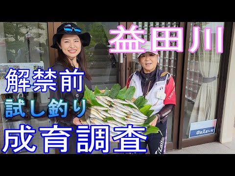 【益田川　解禁前　試し釣り　成育調査】　鮎釣り