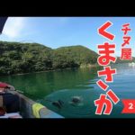 【かかり釣り】宇和島まで大遠征！チヌ屋くまさかさんで大チヌを狙う！～２日目～