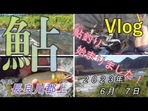 【長良川郡上】２０２３年鮎釣り始めました！　２０２３．６．７