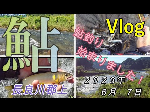 【長良川郡上】2023年鮎釣り始めました! 2023.6.7