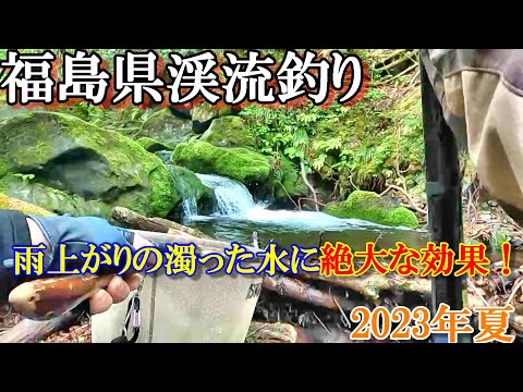 【渓流釣り】6月福島県渓流釣り！「 雨上がりの濁った水に絶大な効果！」天然イワナを求めて山奥へ向かう！！