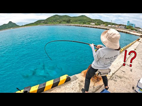 釣り初心者の妻が過去一の大物に遭遇したら…