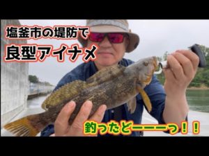 【宮城県の堤防釣り】塩釜市の堤防でロックフィッシュを狙って、いい感じなサイズのアイナメをGET！！