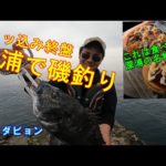 【青森 磯釣り】エサ取りが多いながらの釣果