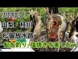 2023 .6 .7山梨県・桂川鮎釣り入掛かり＆塩焼きを楽しむ