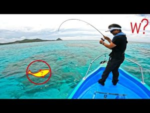 船長2回目、無人島の浅瀬で大物を狙った結果…