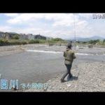 平塚市 金目川で小物釣り。面白い釣り方で去年釣れなかったリベンジ釣行です。果して！？