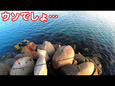 アジを泳がせて放置すると次々に襲いかかる湾内の驚異がヤバい！