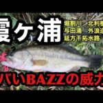 6月釣れるおすすめトップウォーター！今週のバス釣り霞ヶ浦ポイントガイド【ヒガシクワン】【OSPゼロツービート】2023年6月16日