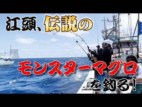 【江頭釣り部】江頭、伝説の巨大モンスターマグロを釣る!