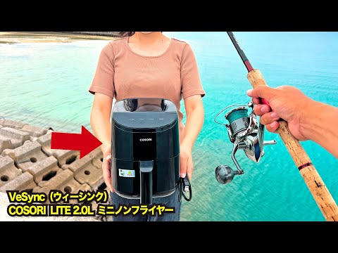 釣った魚をノンフライヤーで焼いて食べてみた【VeSync（ウィーシンク）COSORI LITE 2.0L ミニノンフライヤー】