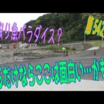 釣り動画ロマンを求めて542釣目