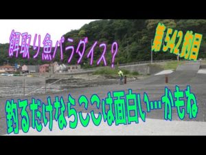 釣り動画ロマンを求めて542釣目