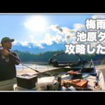 梅雨の池原ダム、バス釣り調査報告書