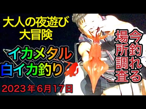 【山陰境港昇龍丸】イカメタル🦑白イカ＆ケンサキイカ釣り【今釣れる場所調査】大人の夜遊び＆大冒険 #オモリグ#惣津沖 2023年6月17日