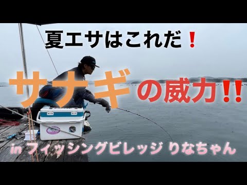♯58 梅雨明け前の御座で筏釣り‪🎣‬ フィッシングビレッジりなちゃん‼️