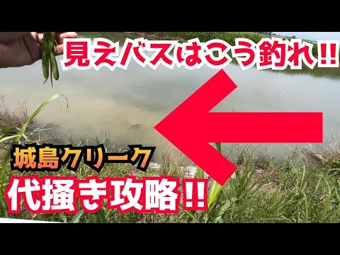 バス釣り2年生　トニさんの代掻き攻略法　バスも僕も丸見えクリークはとにかくハイキングウォーキングラン&ガンよ😎　福岡バス釣り　城島クリーク