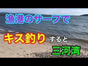 漁港のサーフでキス釣りすると 三河湾