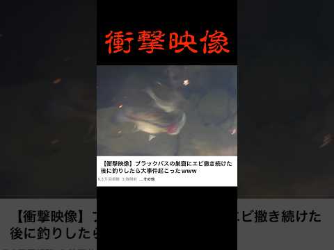 ブラックバスの捕食がエグすぎる　#バス釣り #釣り #shokurosfishing