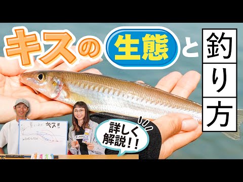 【キス釣り】旬なのはこれから！キスの生態・釣り方を徹底解説！ちょい投げの釣果アップのコツと秘策も紹介　水野浩聡/石川文菜