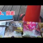 ヘラ鮒釣り　NHC東北地区大会　宮城弁天池