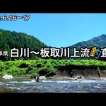 【鮎釣り】BGM間違えたー😭2023.6.16（白川）｜6.17（板取川上流）【友釣り】