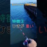 この魚知っている人釣りマニア　釣り楽しい  #short  #shorts  #釣り  #fishing