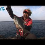 【釣り百景】#491 魅力あふれる海で良型グレを狙う！高知県沖の島