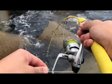 テトラで穴釣り