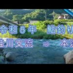 令和５年鮎釣り　桂川支流⇒本流