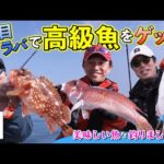 五目タイラバで高級魚をゲット！美味しい魚を釣りましょう！（四季の釣り/2023年5月19日放送）