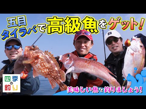 五目タイラバで高級魚をゲット！美味しい魚を釣りましょう！（四季の釣り/2023年5月19日放送）