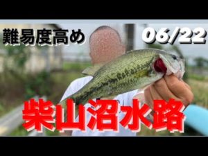 【埼玉バス釣りポイント】難易度高めの柴山沼に挑戦！【ブラックバス】