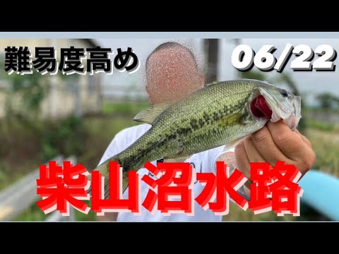 【埼玉バス釣りポイント】難易度高めの柴山沼に挑戦！【ブラックバス】