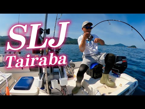 SLJとタイラバで高級魚がボッコンボッコン釣れる！船舶免許2級で乗れるミニボート(NEO374)で日本海釣行してきました【後編】