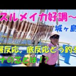 スルメイカ好調～！！城ヶ島沖のニセ、スルメイカ釣り、反応の芯とは？中層反応、底反応の釣り方【スルメイカ釣り】【直結仕掛け】【多点掛け】【落とし込み釣法】