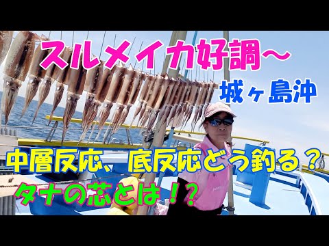 スルメイカ好調~!!城ヶ島沖のニセ、スルメイカ釣り、反応の芯とは?中層反応、底反応の釣り方【スルメイカ釣り】【直結仕掛け】【多点掛け】【落とし込み釣法】