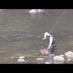 初夏の風物詩　山の清流でアユ釣り解禁
