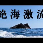 【石鯛釣り】半島最南端の絶海激流磯はやはりいろいろとヤバかった...（88）