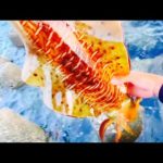 釣り開始から入れ食い。