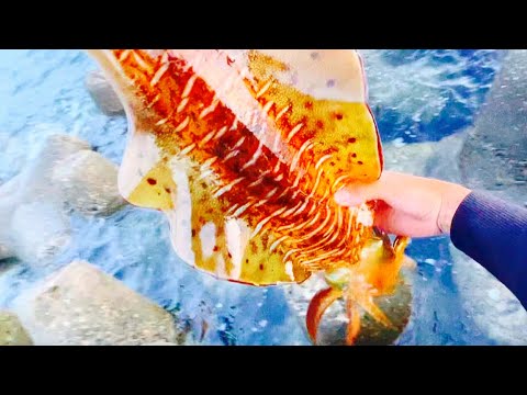 釣り開始から入れ食い。