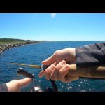 東京アングラーが新潟の海で釣りをすると？