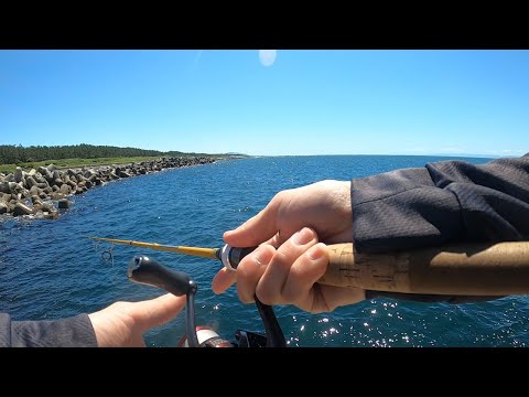 東京アングラーが新潟の海で釣りをすると？