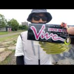 バス釣りライブ。ボウズ逃れ最初からしたらめっちゃ釣れたりする？