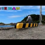 鮎釣り日記23 6 25