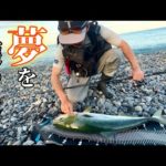 【静岡】サーフから巨大すぎる青物が大爆釣！！！ブリまで飛び出して大パニックに